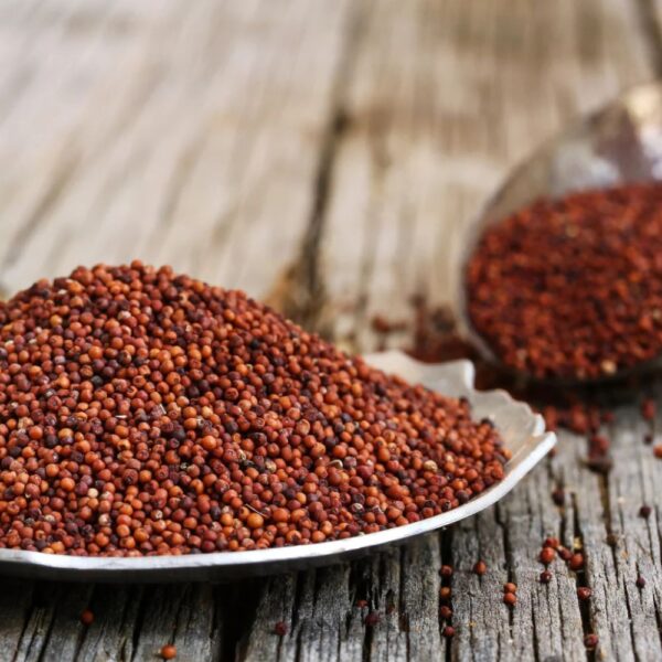 Finger millet